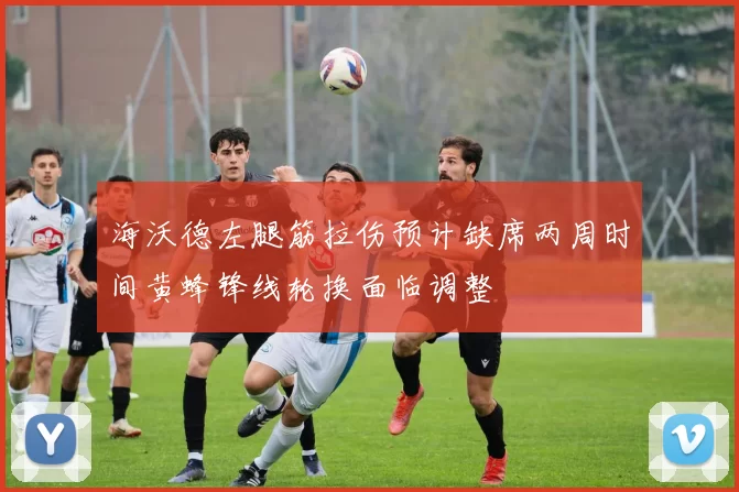 海沃德左腿筋拉伤预计缺席两周时间黄蜂锋线轮换面临调整