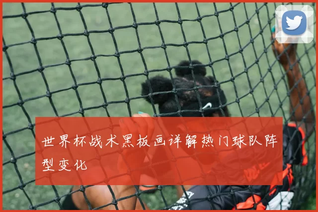 世界杯战术黑板画详解热门球队阵型变化