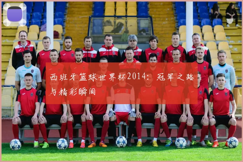 西班牙篮球世界杯2014：冠军之路与精彩瞬间