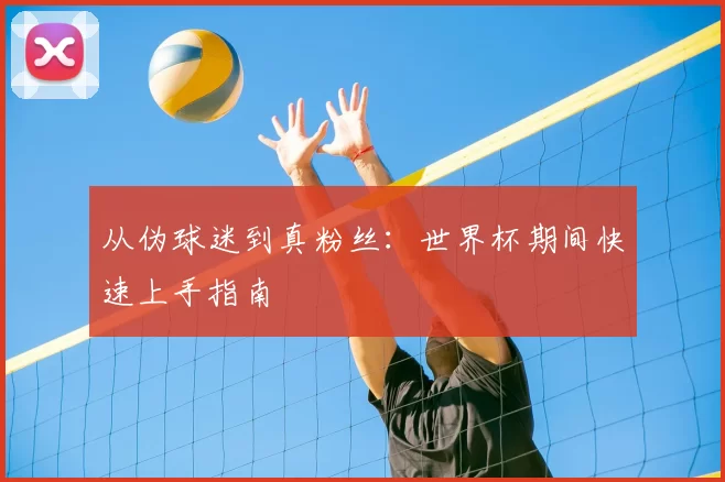 从伪球迷到真粉丝:世界杯期间快速上手指南