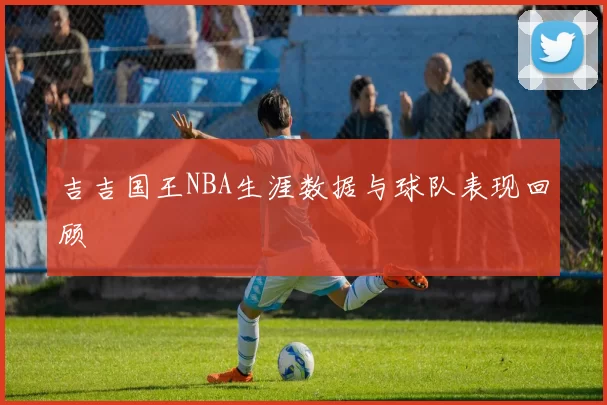 吉吉国王NBA生涯数据与球队表现回顾