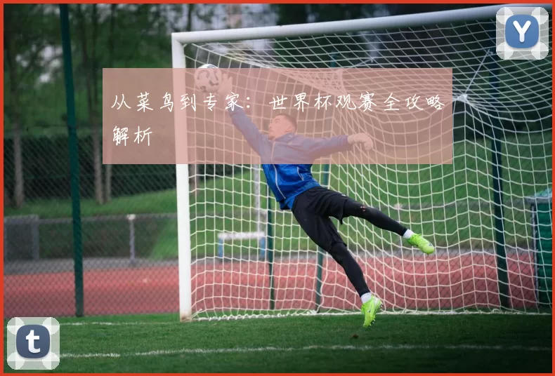 从菜鸟到专家:世界杯观赛全攻略解析