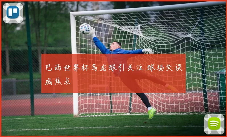 巴西世界杯乌龙球引关注 球场失误成焦点