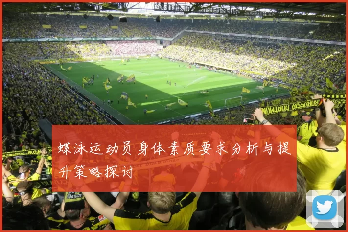 蝶泳运动员身体素质要求分析与提升策略探讨