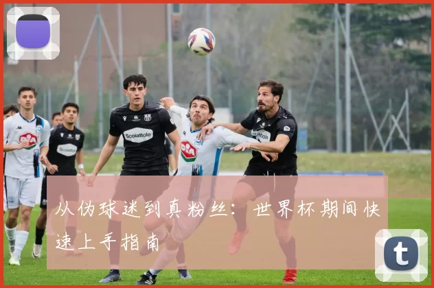 从伪球迷到真粉丝:世界杯期间快速上手指南