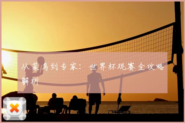 从菜鸟到专家:世界杯观赛全攻略解析