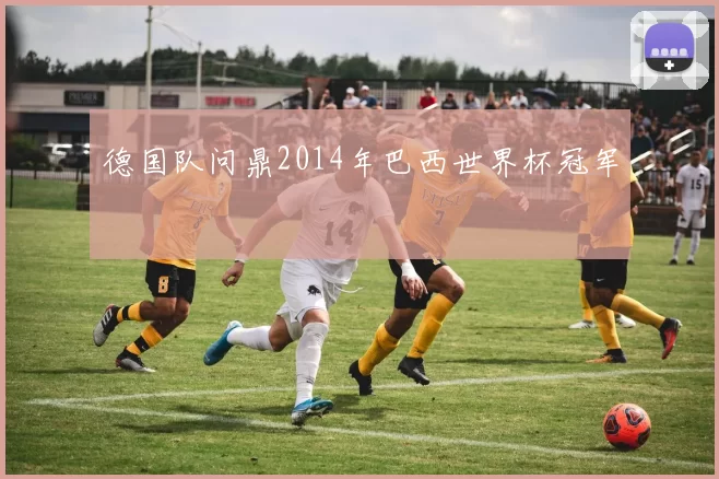 德国队问鼎2014年巴西世界杯冠军