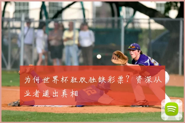 为何世界杯狂欢独缺彩票?资深从业者道出真相