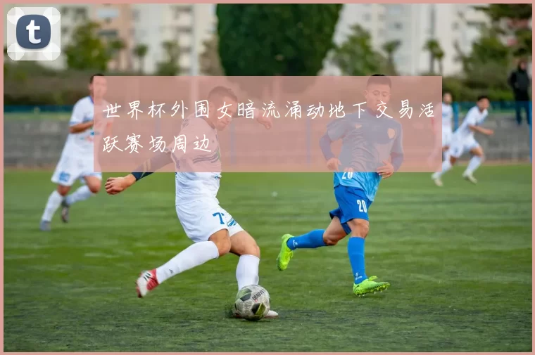 世界杯外围女暗流涌动地下交易活跃赛场周边