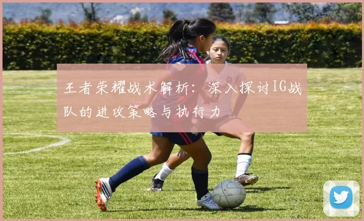 王者荣耀战术解析：深入探讨IG战队的进攻策略与执行力