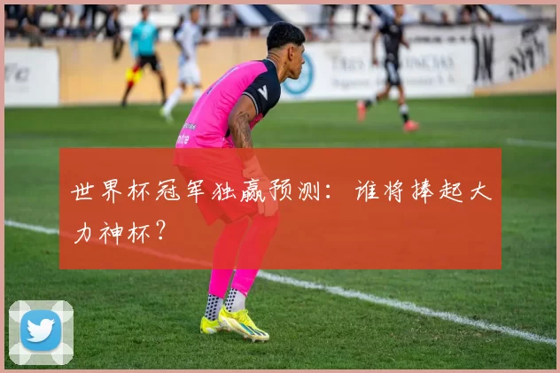 世界杯冠军独赢预测:谁将捧起大力神杯?