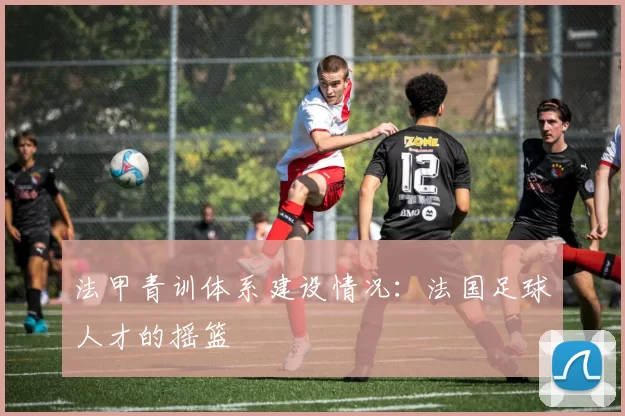 法甲青训体系建设情况：法国足球人才的摇篮