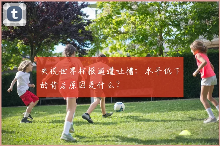 央视世界杯报道遭吐槽：水平低下的背后原因是什么？