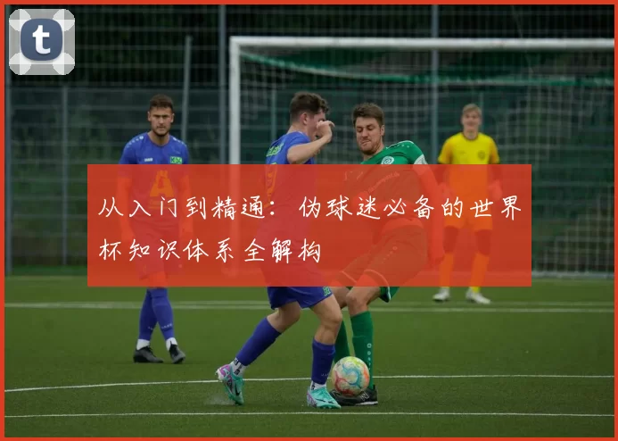 从入门到精通：伪球迷必备的世界杯知识体系全解构
