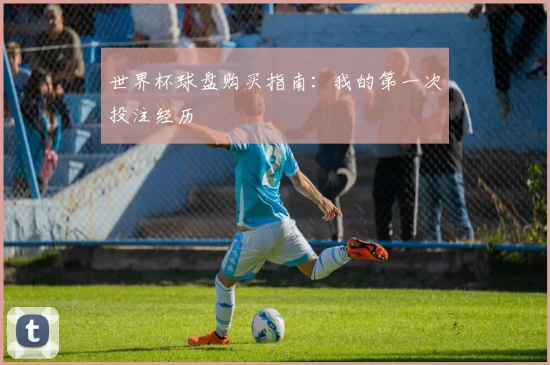世界杯球盘购买指南:我的第一次投注经历