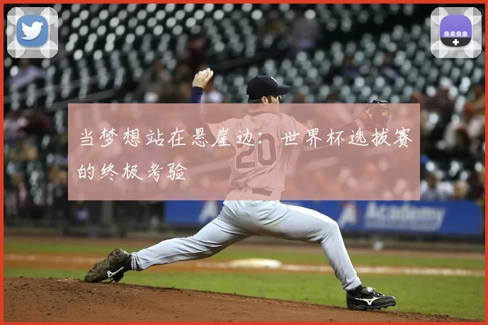 当梦想站在悬崖边：世界杯选拔赛的终极考验