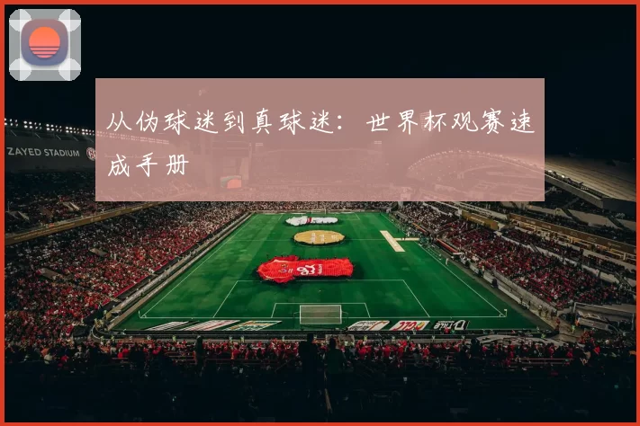 从伪球迷到真球迷:世界杯观赛速成手册