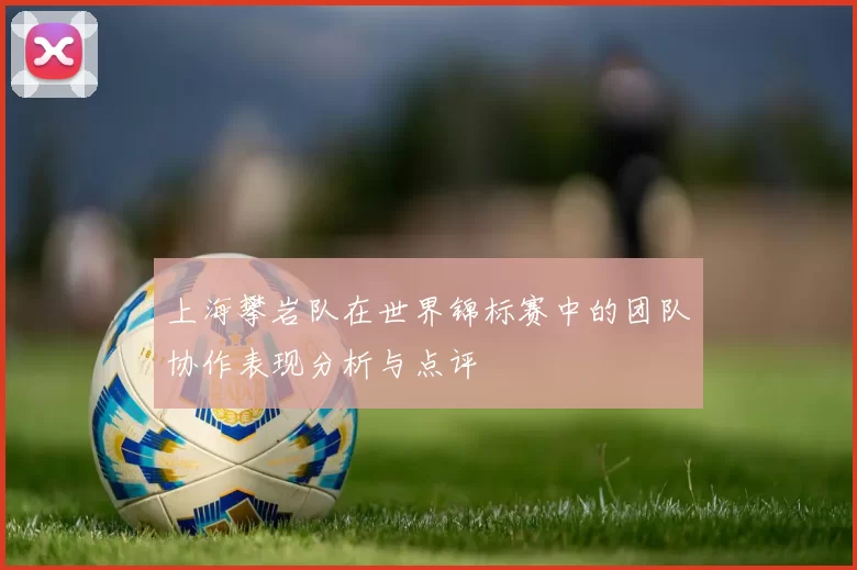 上海攀岩队在世界锦标赛中的团队协作表现分析与点评