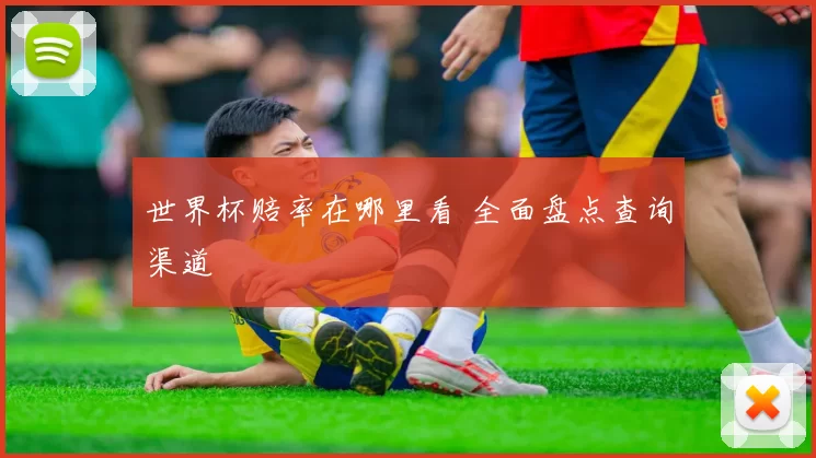 世界杯赔率在哪里看 全面盘点查询渠道