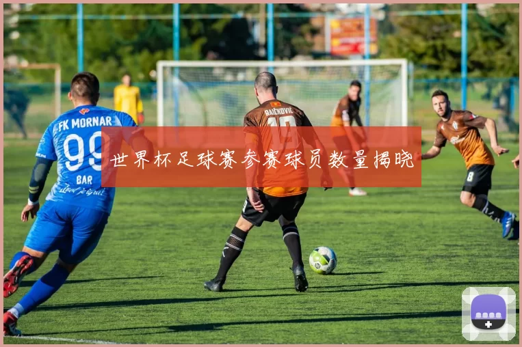 世界杯足球赛参赛球员数量揭晓