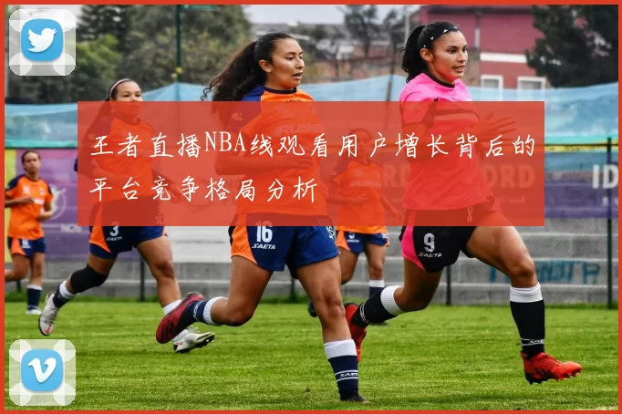 王者直播NBA线观看用户增长背后的平台竞争格局分析