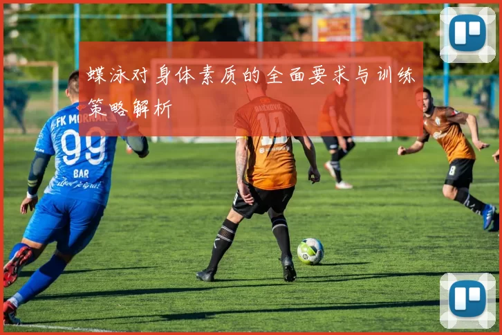 蝶泳对身体素质的全面要求与训练策略解析