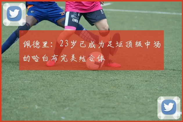 佩德里：23岁已成为足坛顶级中场的哈白布完美结合体