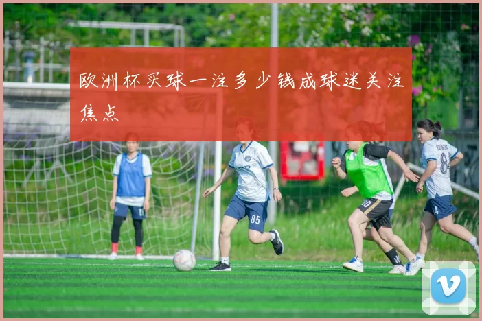 欧洲杯买球一注多少钱成球迷关注焦点
