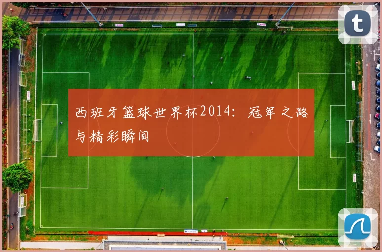 西班牙篮球世界杯2014：冠军之路与精彩瞬间
