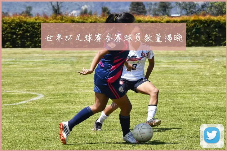 世界杯足球赛参赛球员数量揭晓