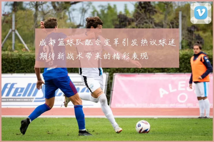 成都篮球队配合变革引发热议球迷期待新战术带来的精彩表现