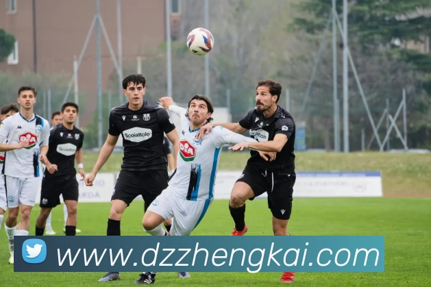 爱游戏体育服务体系